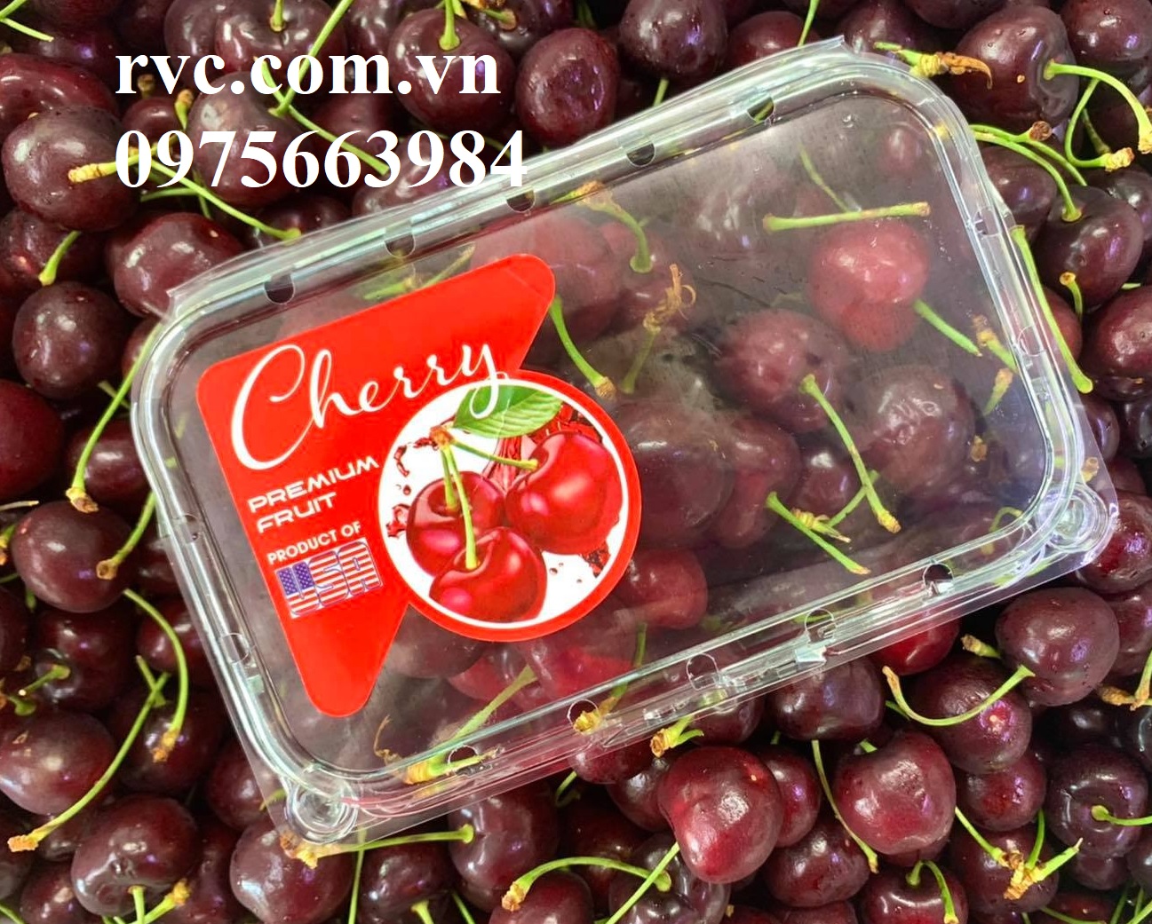 Hop_dung_cherry_21.1.jpg